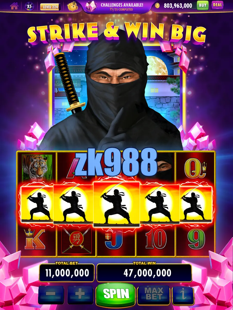 zk988 Masuk